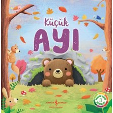Bilfold Küçük Ayı - Doğanın Eşsiz Hikayeleri 3