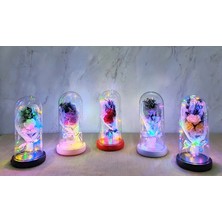 VeraGlobe Buğz Işıklı Müzikli Romantik Gül Buketi