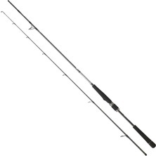 Daiwa Saltist Seabass Bf 244 cm 7-28 gr Spin Kamış