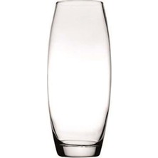 Paşabahçe 43966 Botanica 26 Cm Cam Vazo Zarif Görünüm Evinize Değer Katar