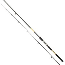 Daiwa Grandwave Sj 305 cm 60-120 gr Shore Jig Kamış