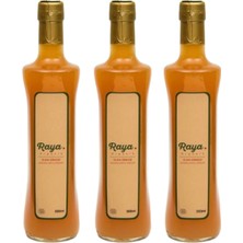 Raya Organik Organik Elma Sirkesi 500ML x 3 Adet