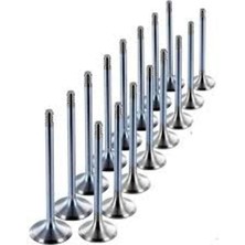 Güneş Opel / Corsa C 1.7  Subap Emme Eksoz Astra 1.7tdı 16V Y17DT