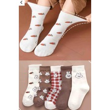 BGK Çorap 5'li Tavşan Desenli Çocuk Çorabı