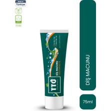 TTO Diş Macunu 75 gr Doğal Ferah Nefes Koruyucu Özellikli Hassasiyet İçin
