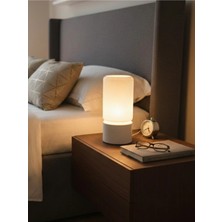 Sagalassos Serisi Modern Lamba - Aesthetic Tasarım Gece Lambası - Iskandinav Minimalist Abajur