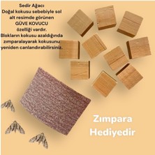 Özbience Doğal Güve Kovucu Sedir Ağacı 10 Adet, Güvenli ve Etkili Koruma Seti
