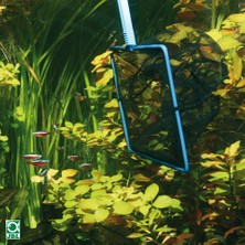 JBL Hnrlishp Premium Kepçe 8 cm