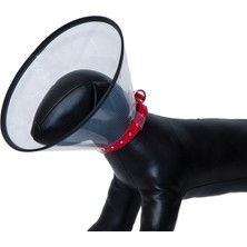 Hnrlishp Eastland Elızabeth Dalı Yakalık 10 cm