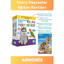 Armoris Yeni Nesil Görsel Algı Eğlenceli Öğretici Gelişim Dokun Hisset Tanı Yavru Hayvanlar Eğitim Kartları