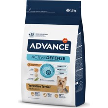 Hnrlishp Advance Dog Yorkshıre Terrıer 1,5 kg