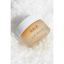 River Lip Balm Nemlendirici Etkili Dudak Balmı Lip Balm 20ML