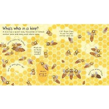 River Why Do We Need Bees? (Lift-The-Flap First Questions And Answers)