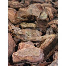 River Natural Dekoratif Çam Kabuğu, Kahverengi, 2-4 Cm, 3 Litre, Organik, Drenaj Düzenleyici, Toprak Nemlendirici, Dekorasyon Amaçlı