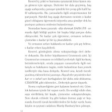 River Ormanın Bittiği Yer