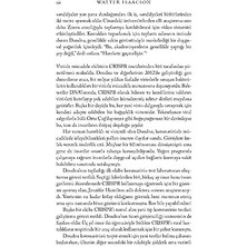 River Yaşamın Kodu