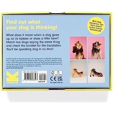 River Teach Yourself Dog: A Memory Game