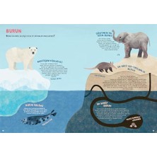 River Hayvani Rekorlar Kitabı (Ciltli)