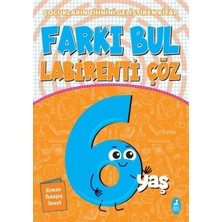 River Farkı Bul Labirenti Çöz - 6 Yaş: Çocukların Zihnini Geliştiren Kitap (Kapak Değişebilir)