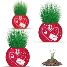 River Aşk Temalı 6'lı Çim Adam Bitki Yetiştirme Seti – Romantik ve Eğlenceli Hediye