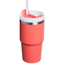 River Pipetli Termos Bardak, (Hot), 0.60 Litre