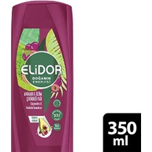 River Doğanın Enerjisi Kalın ve Gür Avokado ve Üzüm Çekirdeği Yağı Bakım Kremi 1 Paket (1 x 350 Ml)