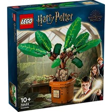 4 Adet 76433 Lego® Harry Potter™ Adamotu