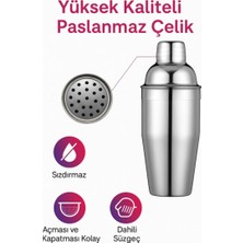 Vestron Profesyonel Paslanmaz Çelik Shaker 350 ml