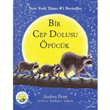 Bright Starts Cesur Minik Rakun (4 Adet)