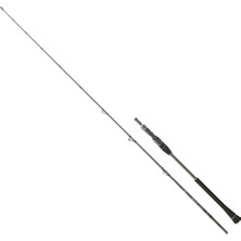Daiwa Legalis Oceano Jg 191 cm 20-80 gr Jig Kamış
