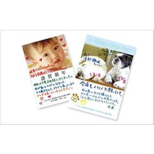 River Sing Pen Brush Gri