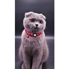 Özbience Kırmızı Renkli Parlak Disco Tarzı Kedi Kolyesi, Şıklık ve Işıltı Sunar