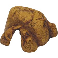 Hagen Exoterra Hnrlishp Exo Terra Sgen Mağarası (L)