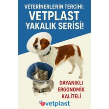 Özbience Yüksek Kaliteli Dikişsiz Kedi ve Köpek Yakalığı, 7,5 Cm, Tek Adet