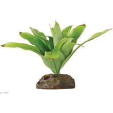 Hagen Exoterra Hnrlishp Exo Terra Teraryum Için Plastik Bitki