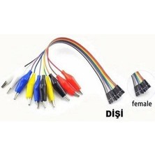 River 30 cm 10 Pin Krokodil - Jumper Kablo (Dişi)