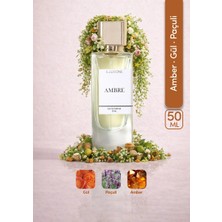ILLUSIONE Ambre EDP Kadın Parfüm 50ml | Amber-Paçuli-Gül | Bergamot, Sedir, Karanfil, Vetiver