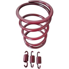 Rks Freccia 150 Speed Up Performans Yayı + Arka Varyatör Balata Yayı - 1500 Rpm
