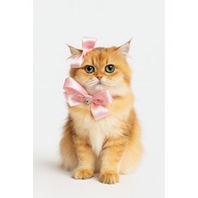 Özbience Saten Pembe Taşlı Fiyonklu Ayarlanabilir Kedi Köpek Tasma ve Toka Seti