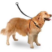 Karlie Hnrlishp Karlıe Easy Walker Göğüs Tasma 40*58 cm Large