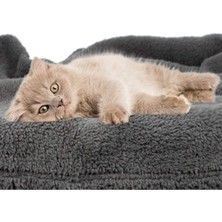 Özbience Yumuşak ve Sıcak Peluş Kedi Battaniyesi 60X80 Cm, Rahat Kullanım