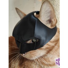 Özbience Sevimli Kedi Maskesi, Eğlenceli ve Renkli Tasarım