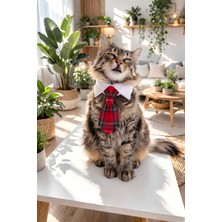 Özbience Ekose Desenli Yetişkin Kedi ve Küçük Irk Köpek Kravatı