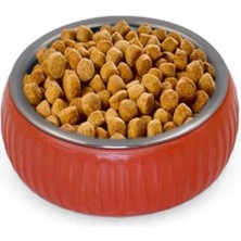 Özbience Doğal Seramik Mama Kabı, Güvenli ve Sağlıklı Mama Kabı