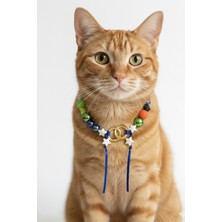 Özbience Şık ve Dayanıklı Metal Kedi Kolyesi, Aksesuar Seçeneği