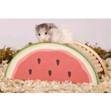 Hnrlishp Pawise Ahşap Kemirgen Yuvası Karpuz