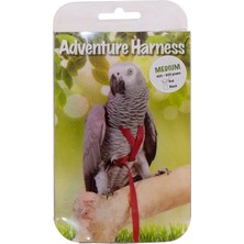 Hnrlishp Eastland Kuş Göğüs Tasma M 11X32X130CM