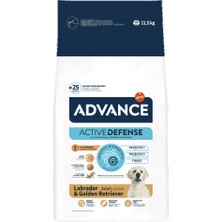 Hnrlishp Advance Dog Labrador 11,5kg