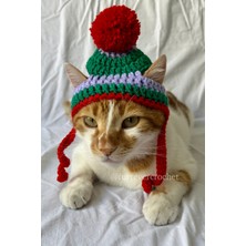 Özbience Sevimli Yeşil Lila Kırmızı Örgü Evcil Hayvan Bere Şapkası