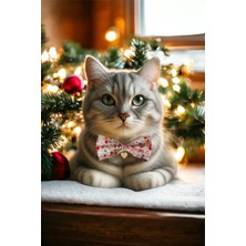 Özbience Sevimli Kalpli Kedi ve Köpek Papyonu ile Şık ve Renkli Tasma Seti